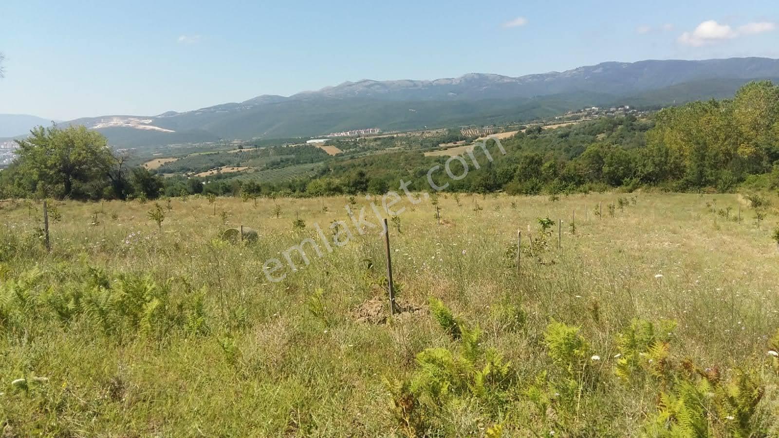 Sugören 11.391m2 Yola Cephe (yola 60 Mtre Cepheli)tek Tapu Araz — fotoğraf 3