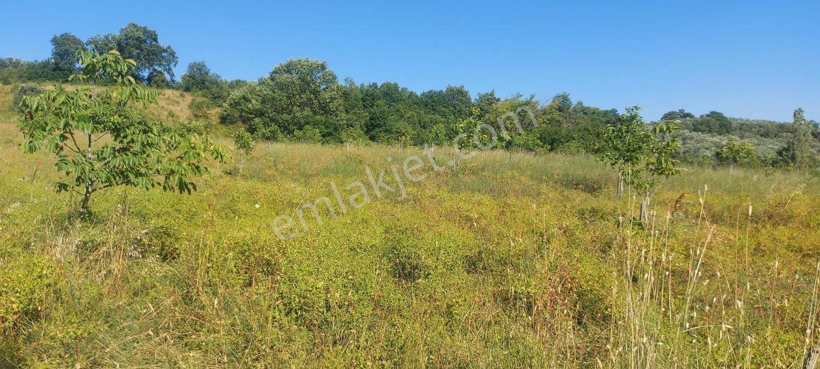 Sugören 11.391m2 Yola Cephe (yola 60 Mtre Cepheli)tek Tapu Araz — fotoğraf 4