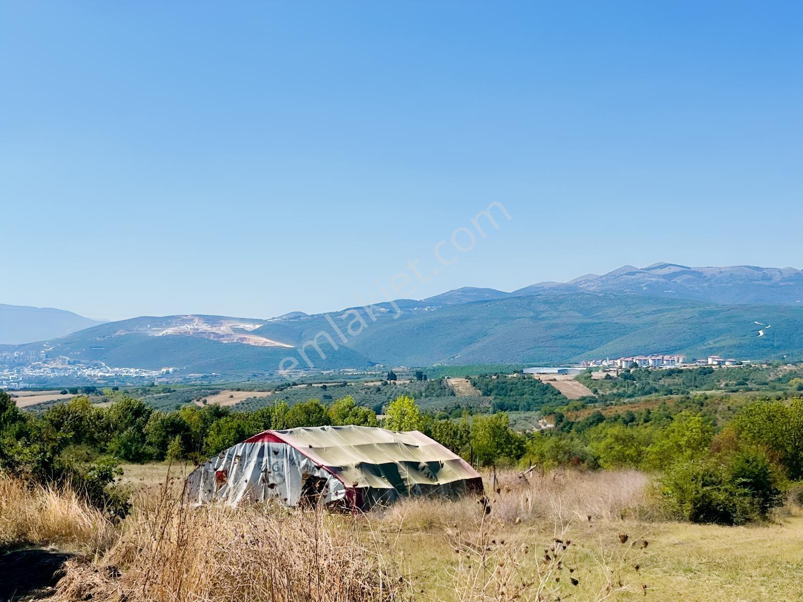 Sugören 11.391m2 Yola Cephe (yola 60 Mtre Cepheli)tek Tapu Araz — fotoğraf 7