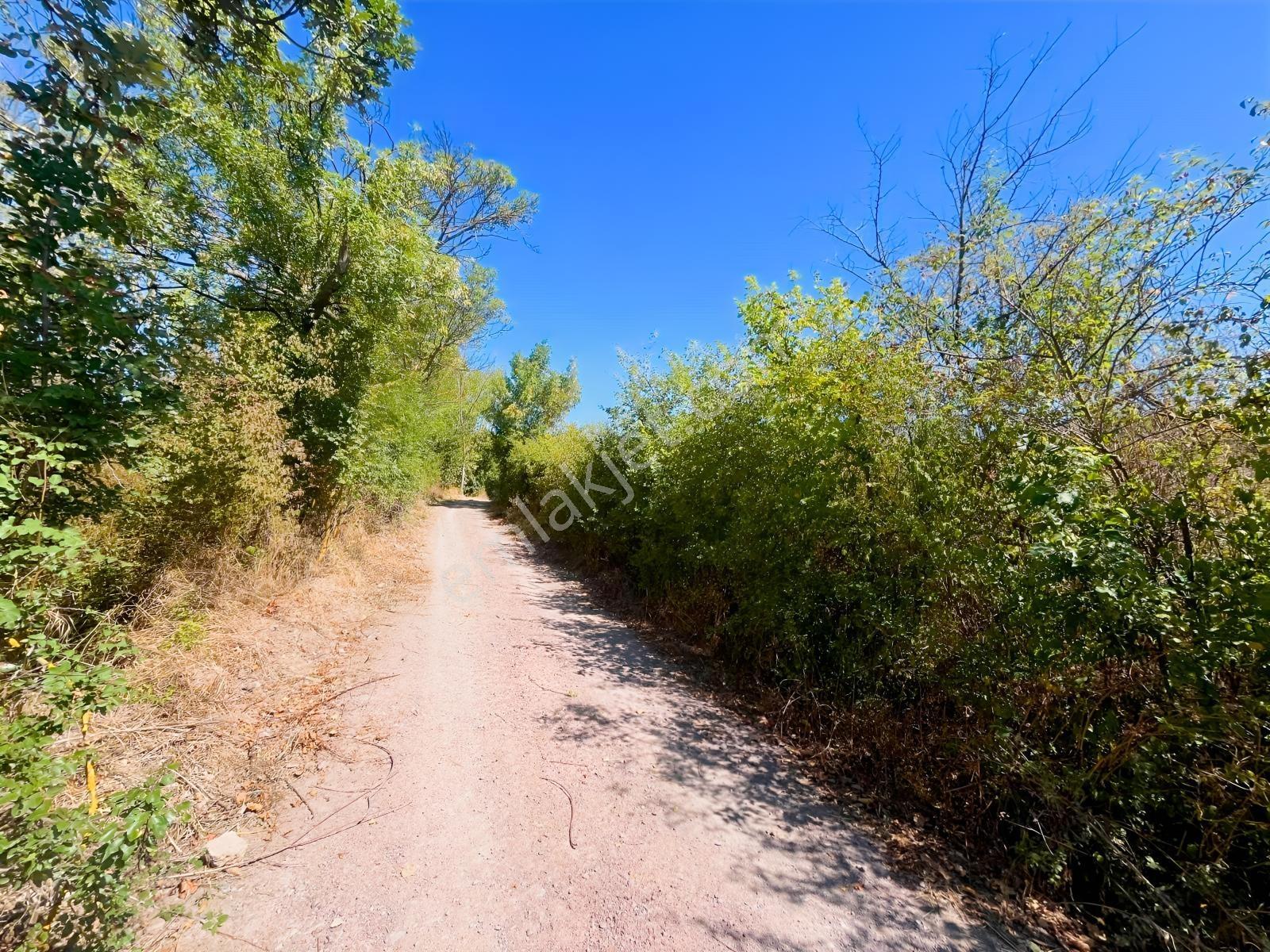 Sugören 11.391m2 Yola Cephe (yola 60 Mtre Cepheli)tek Tapu Araz — fotoğraf 8