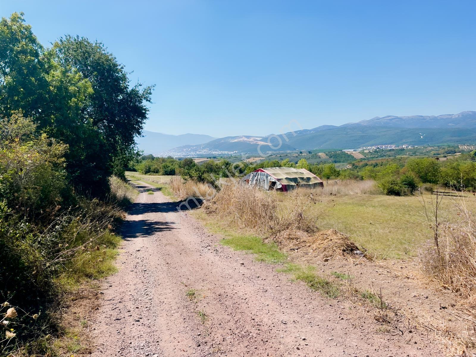 Sugören 11.391m2 Yola Cephe (yola 60 Mtre Cepheli)tek Tapu Araz — fotoğraf 10