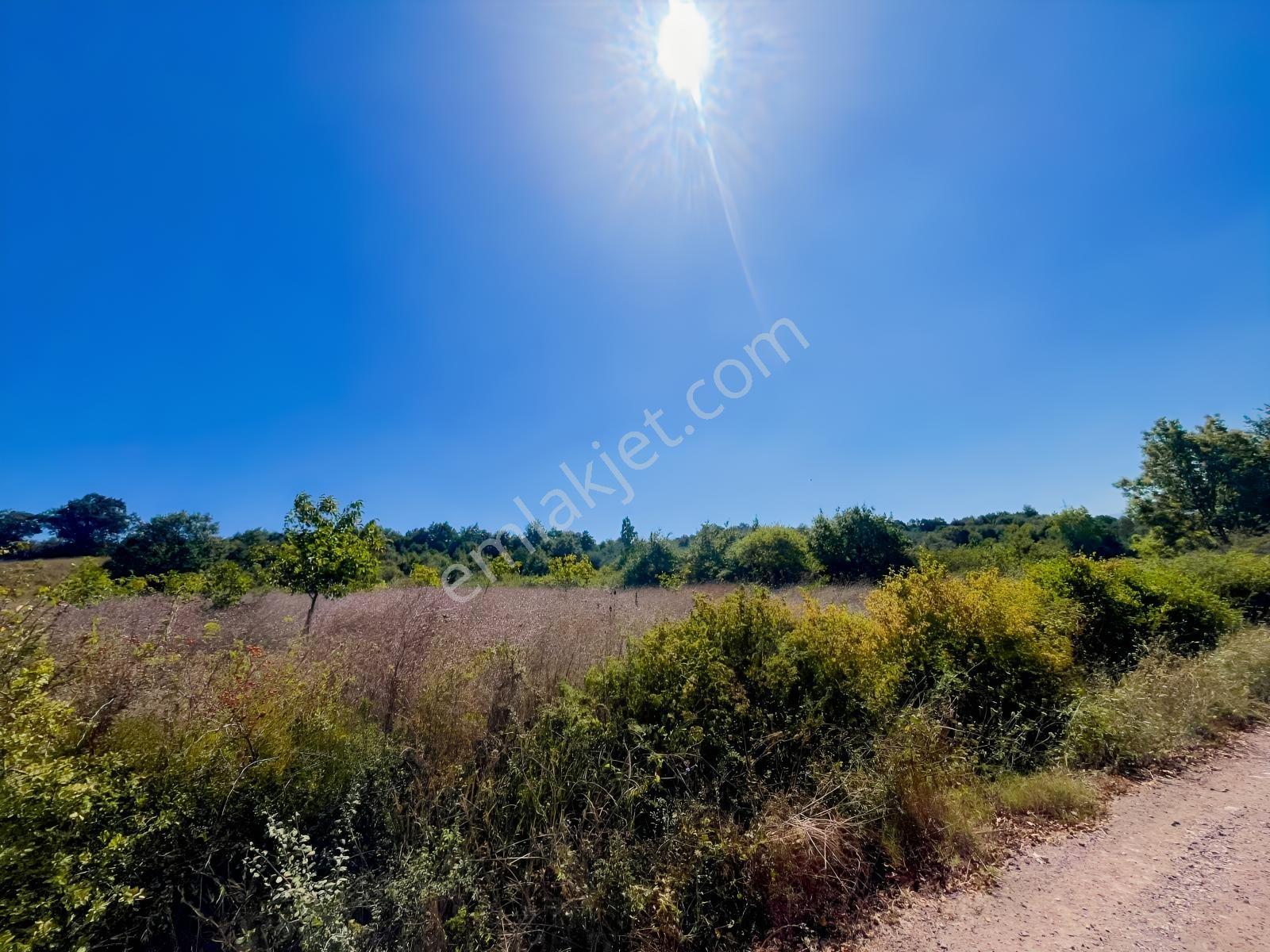 Sugören 11.391m2 Yola Cephe (yola 60 Mtre Cepheli)tek Tapu Araz — fotoğraf 11