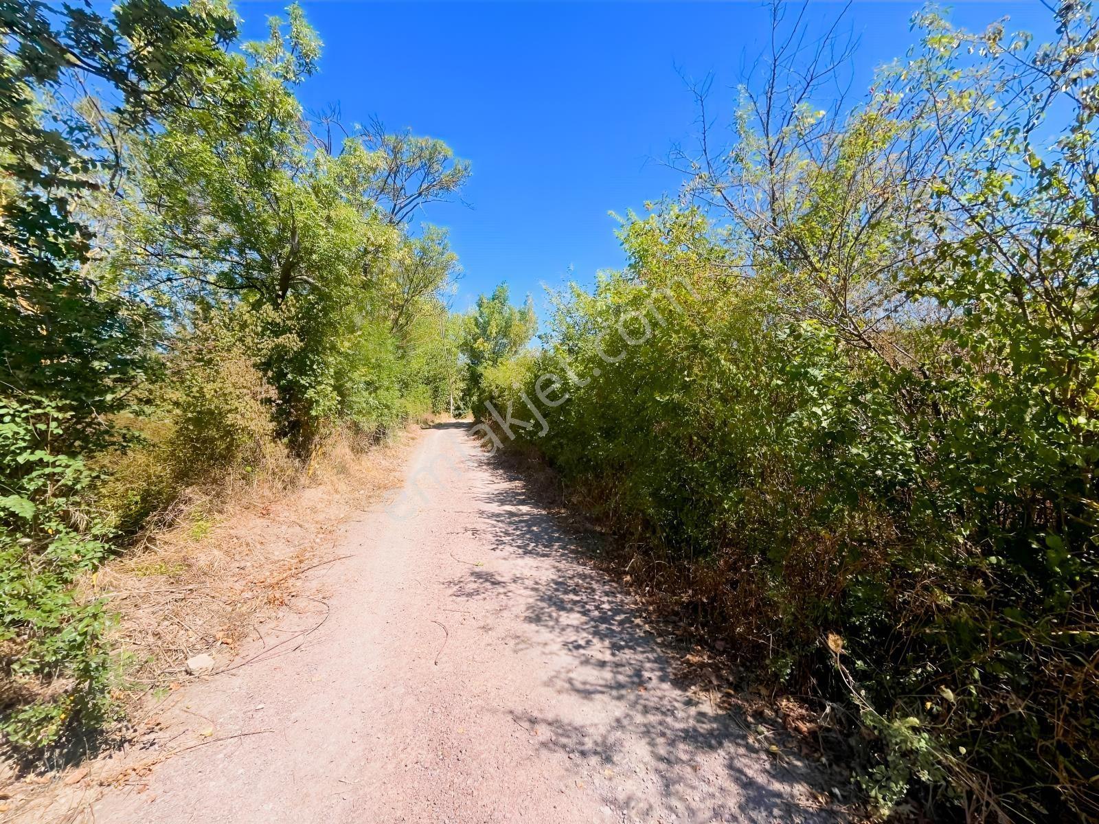 Sugören 11.391m2 Yola Cephe (yola 60 Mtre Cepheli)tek Tapu Araz — fotoğraf 12