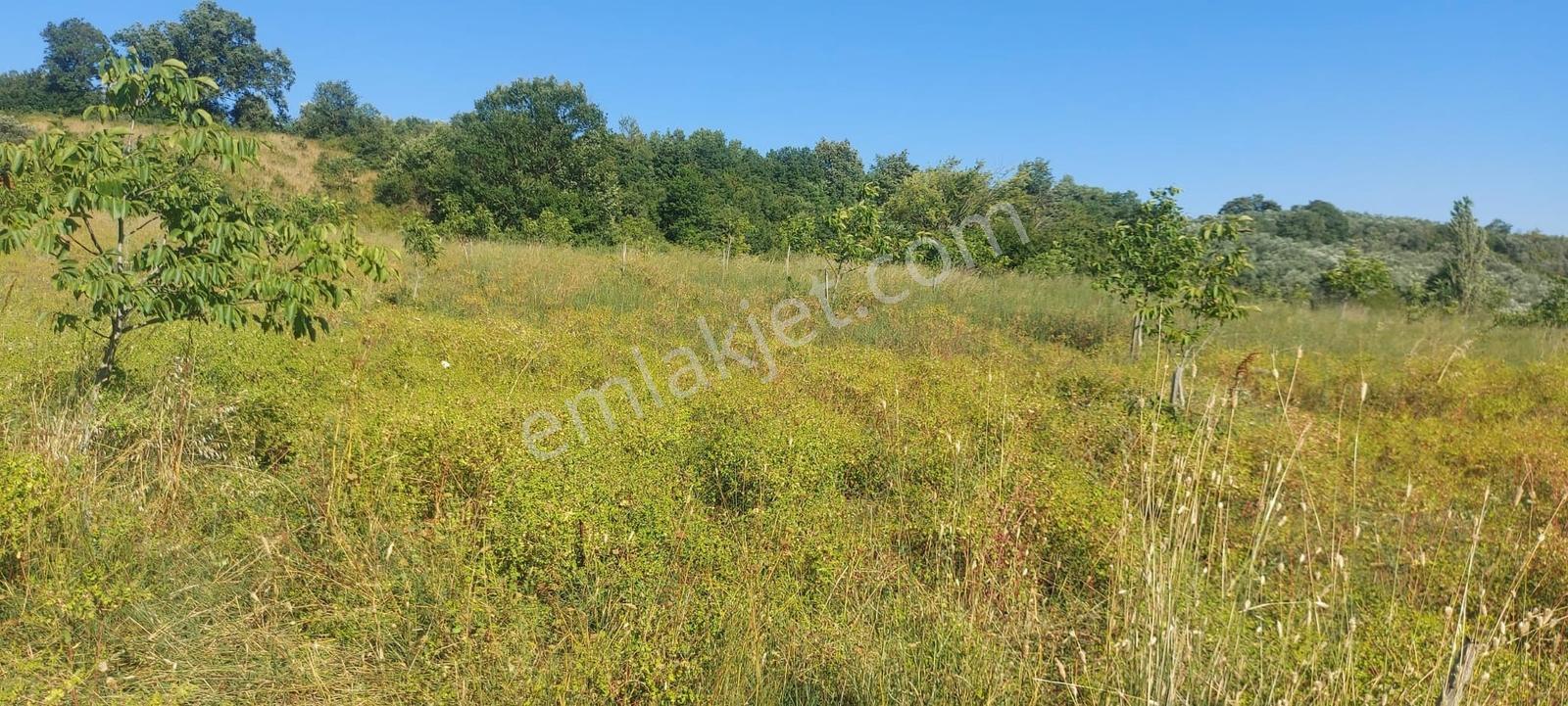 Sugören 11.391m2 Yola Cephe (yola 60 Mtre Cepheli)tek Tapu Araz — fotoğraf 14