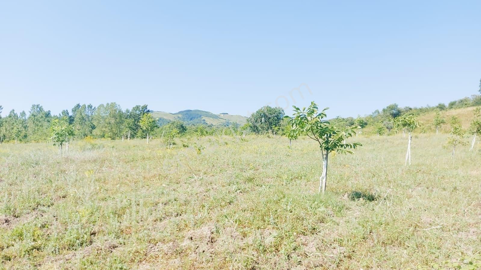 Sugören 11.391m2 Yola Cephe (yola 60 Mtre Cepheli)tek Tapu Araz — fotoğraf 15