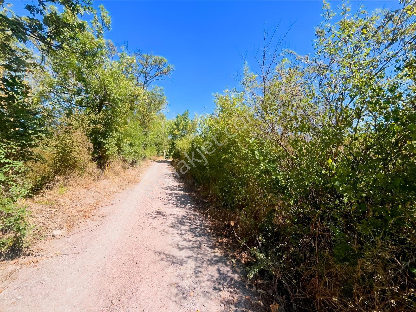Sugören 11.391m2 Yola Cephe (yola 60 Mtre Cepheli)tek Tapu Araz — fotoğraf 16