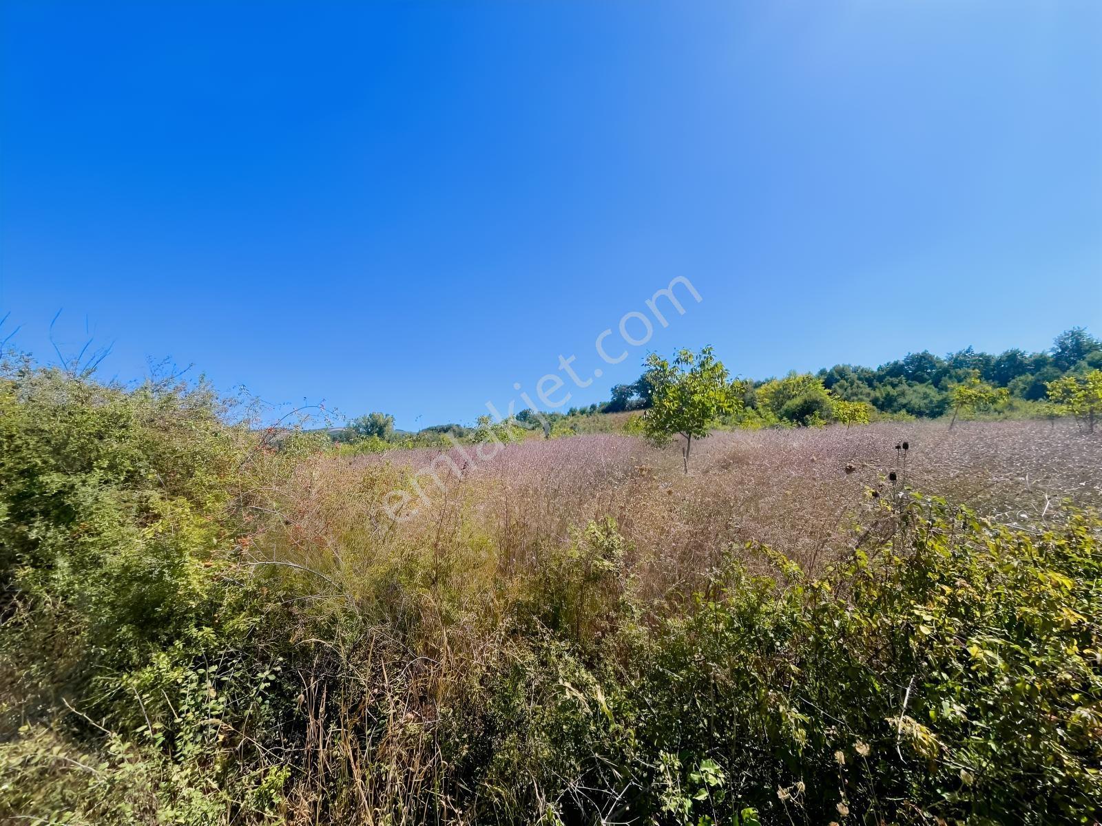 Sugören 11.391m2 Yola Cephe (yola 60 Mtre Cepheli)tek Tapu Araz — fotoğraf 17