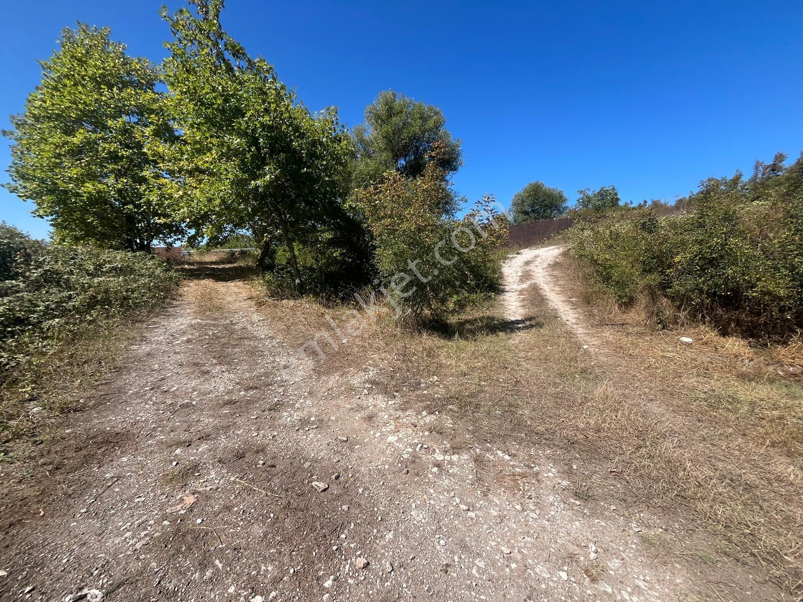 8246 M2 (bursa Yoluna 2. Parsel) Yola Toplam 313 Metre Cepheli