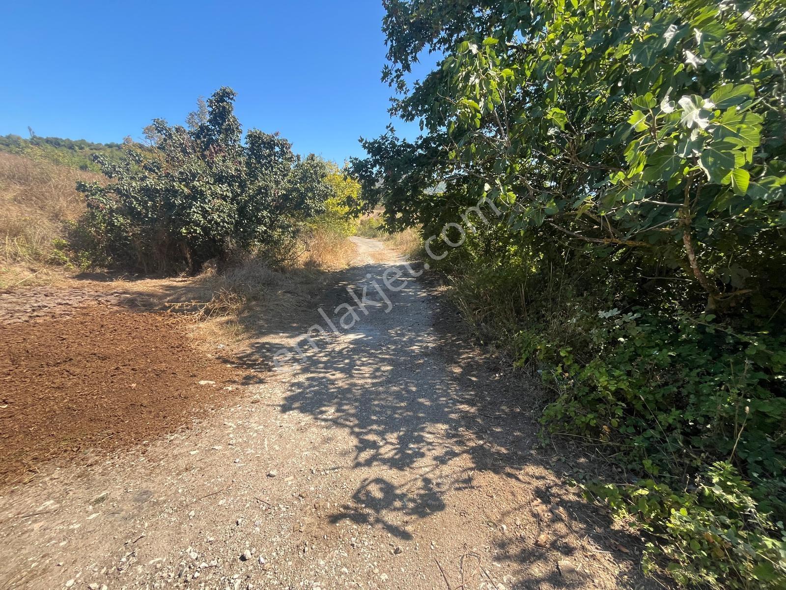 8246 M2 (bursa Yoluna 2. Parsel) Yola Toplam 313 Metre Cepheli — fotoğraf 4