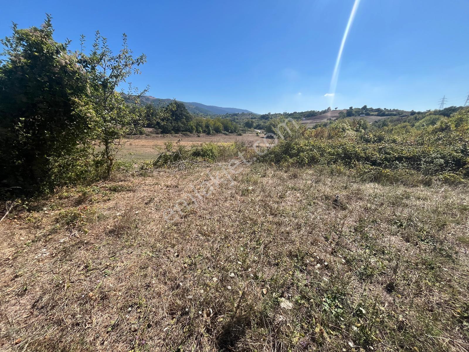 8246 M2 (bursa Yoluna 2. Parsel) Yola Toplam 313 Metre Cepheli — fotoğraf 8