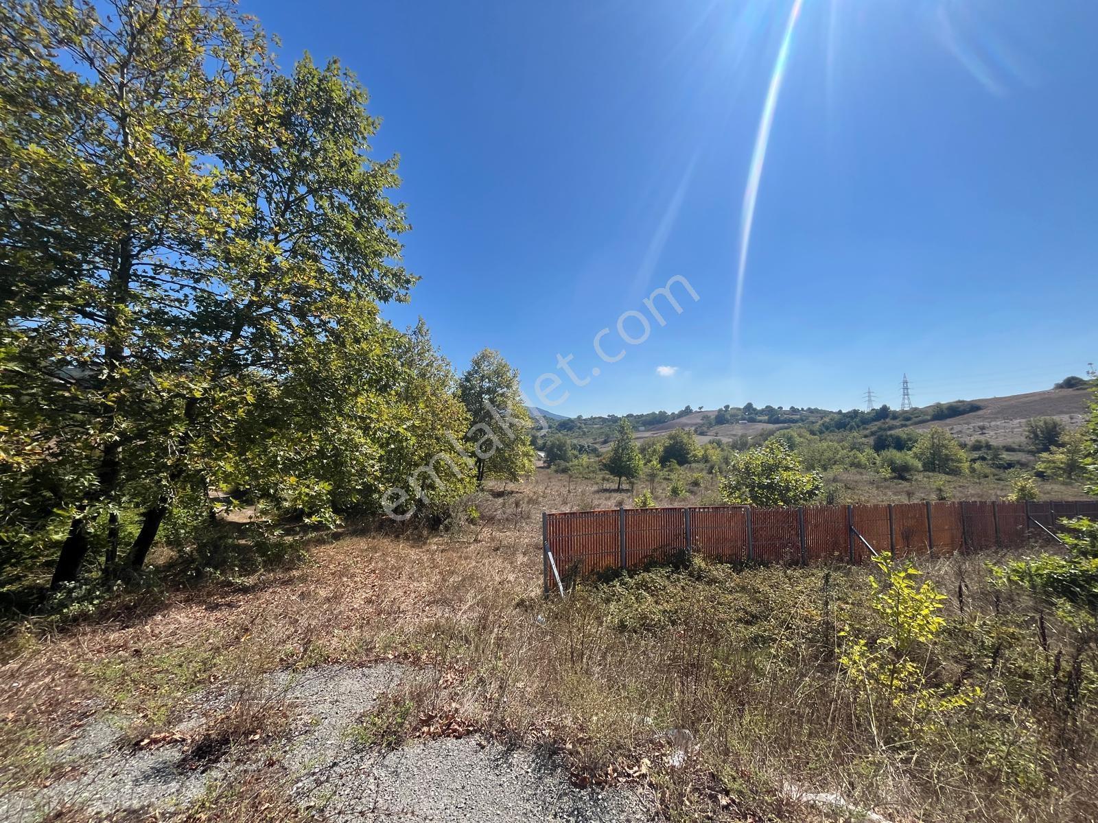 8246 M2 (bursa Yoluna 2. Parsel) Yola Toplam 313 Metre Cepheli — fotoğraf 10