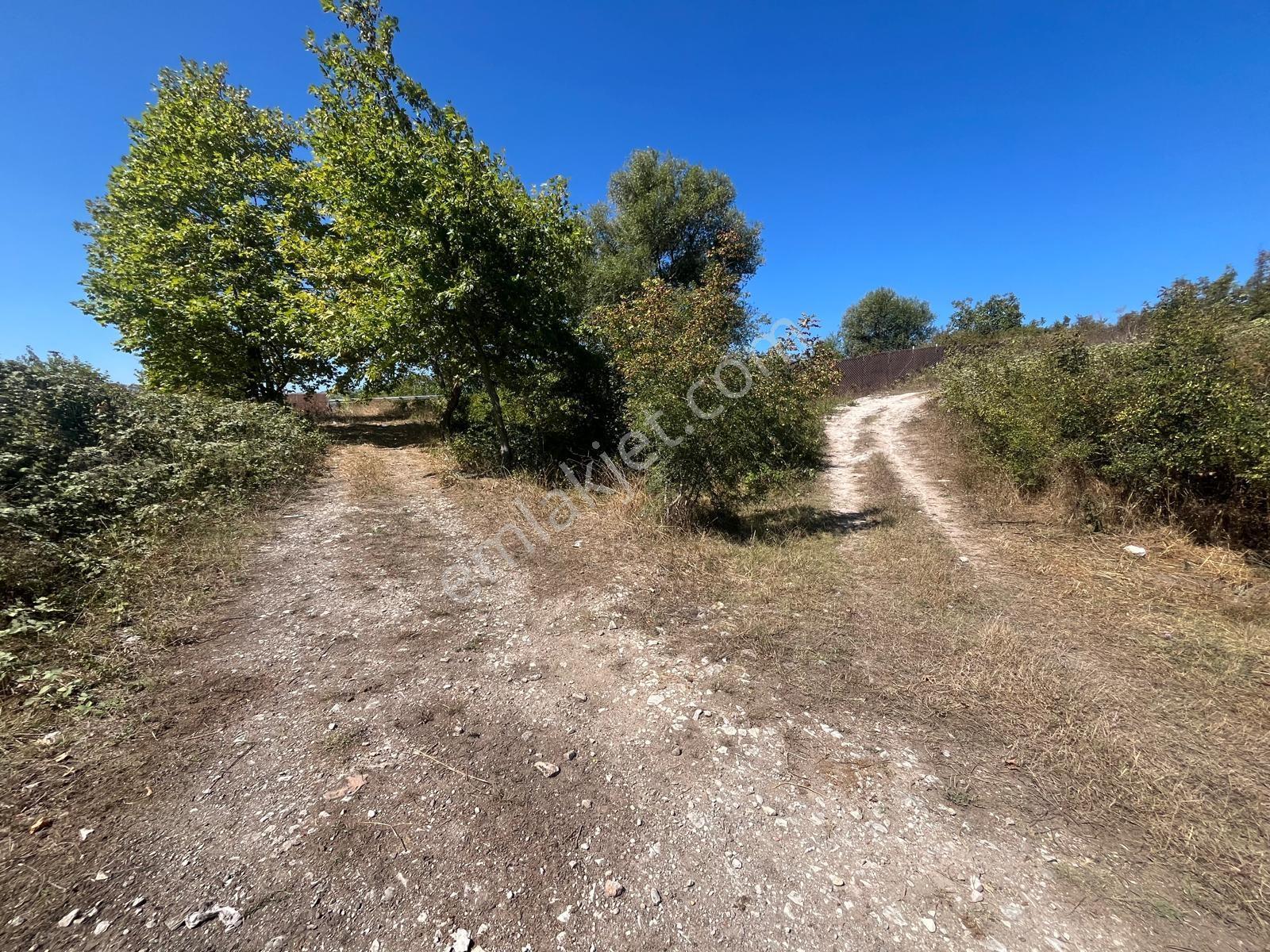 8246 M2 (bursa Yoluna 2. Parsel) Yola Toplam 313 Metre Cepheli — fotoğraf 11