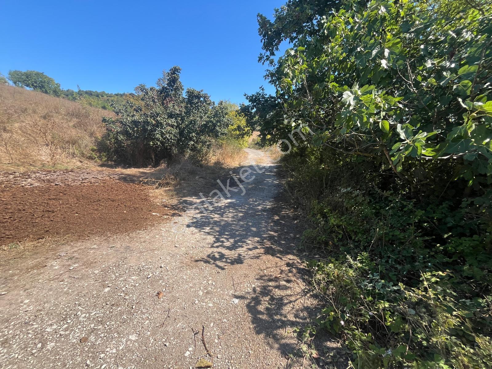 8246 M2 (bursa Yoluna 2. Parsel) Yola Toplam 313 Metre Cepheli — fotoğraf 14