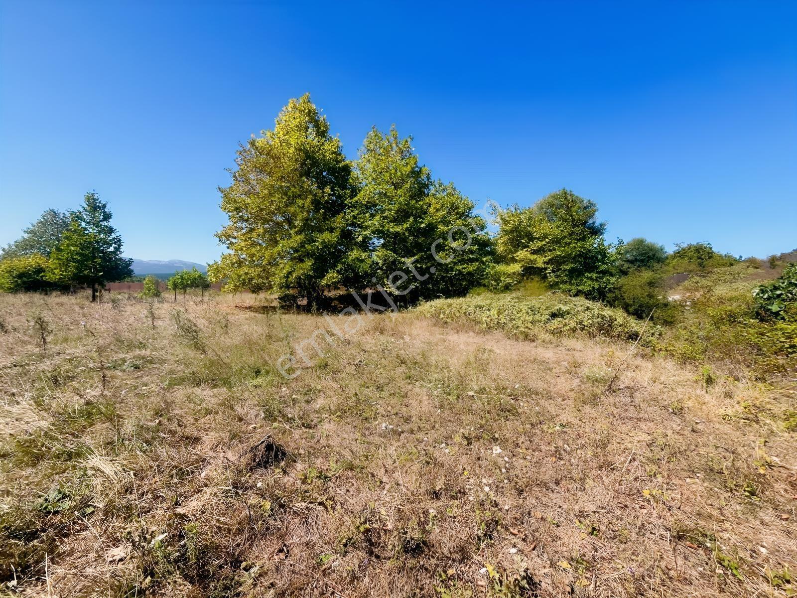 8246 M2 (bursa Yoluna 2. Parsel) Yola Toplam 313 Metre Cepheli — fotoğraf 15