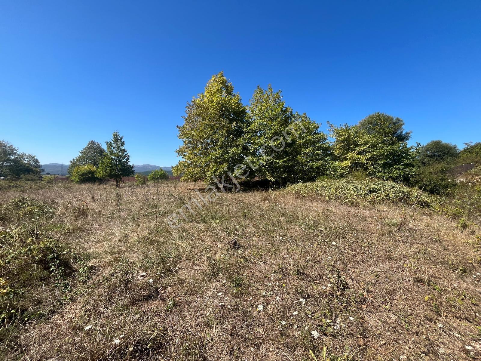 8246 M2 (bursa Yoluna 2. Parsel) Yola Toplam 313 Metre Cepheli — fotoğraf 16
