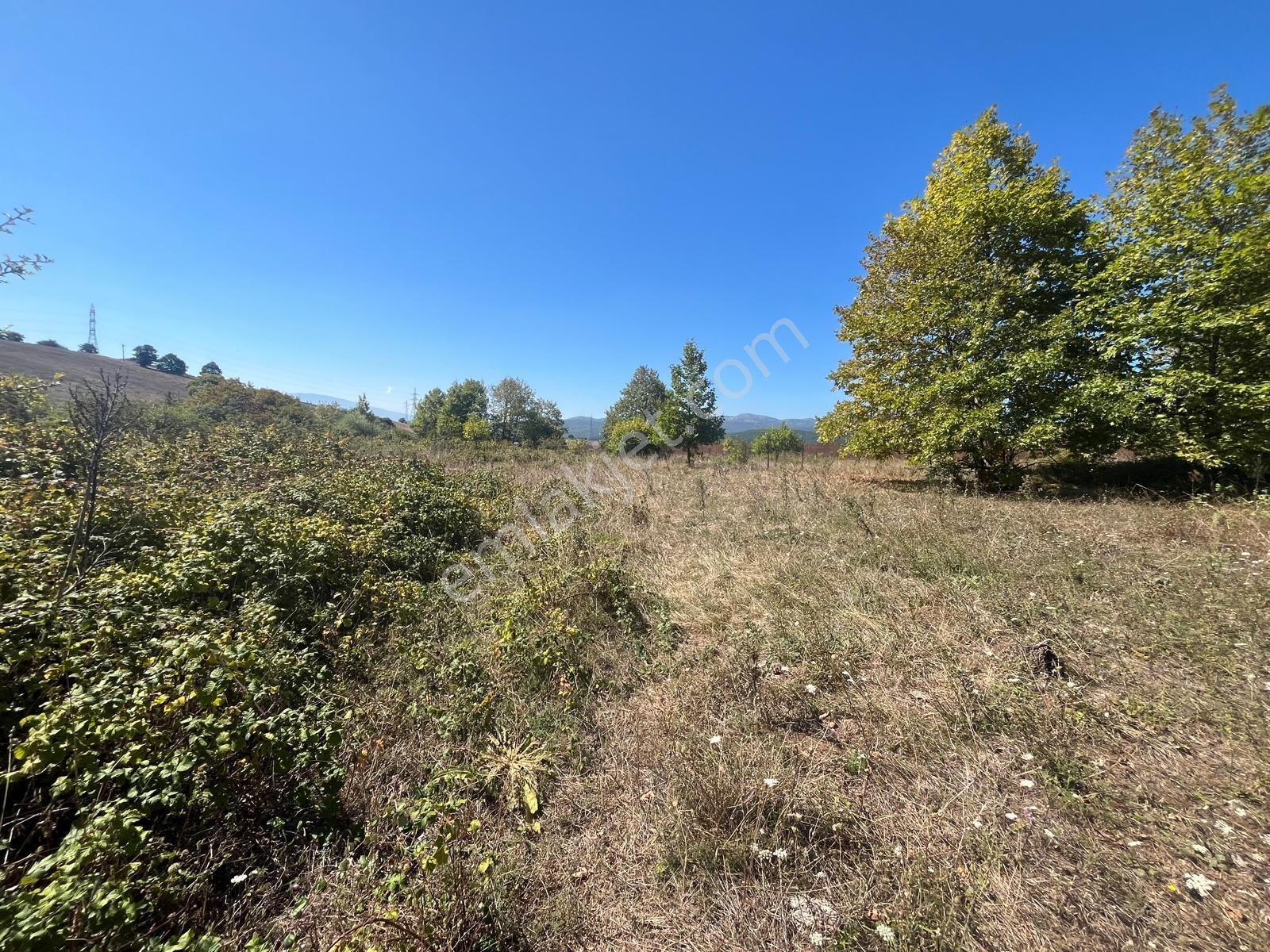 8246 M2 (bursa Yoluna 2. Parsel) Yola Toplam 313 Metre Cepheli — fotoğraf 17