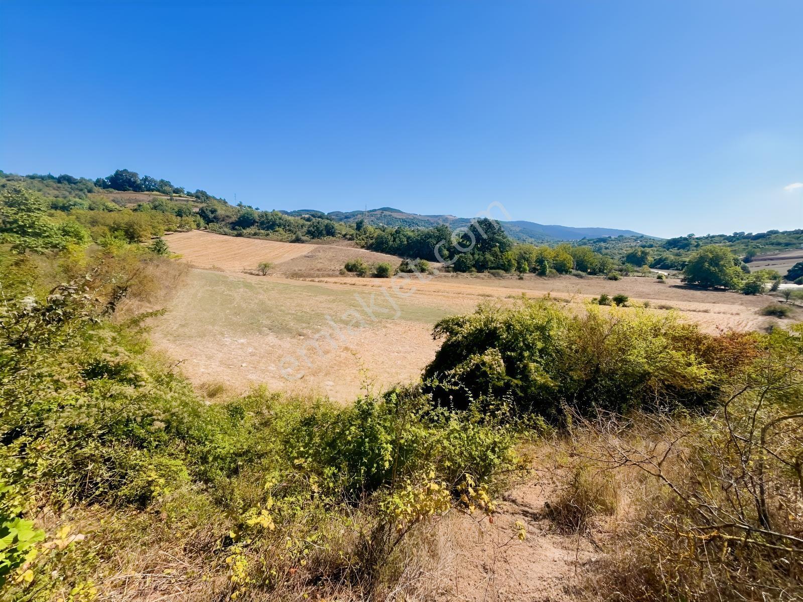 8246 M2 (bursa Yoluna 2. Parsel) Yola Toplam 313 Metre Cepheli — fotoğraf 19