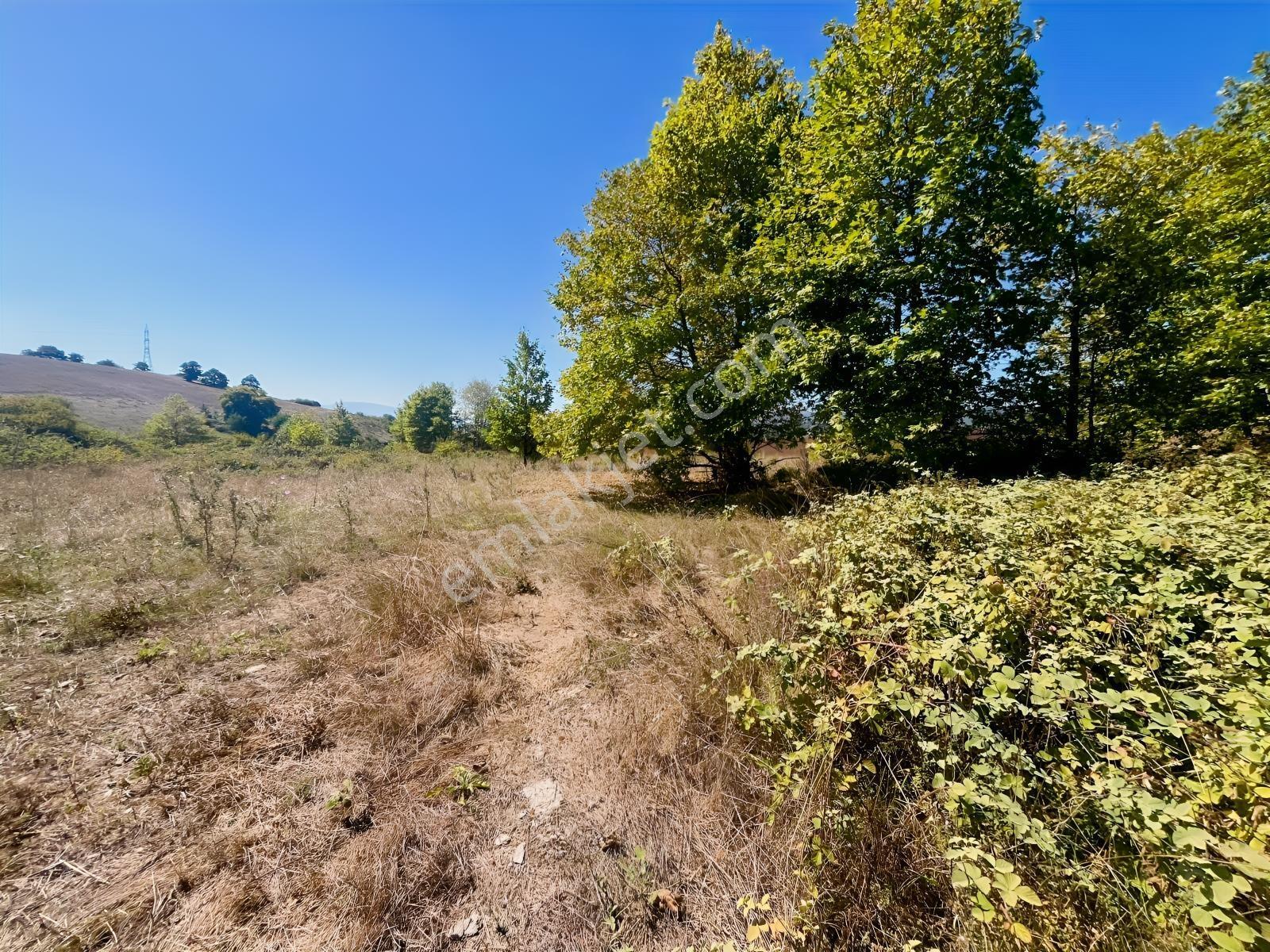 8246 M2 (bursa Yoluna 2. Parsel) Yola Toplam 313 Metre Cepheli — fotoğraf 20
