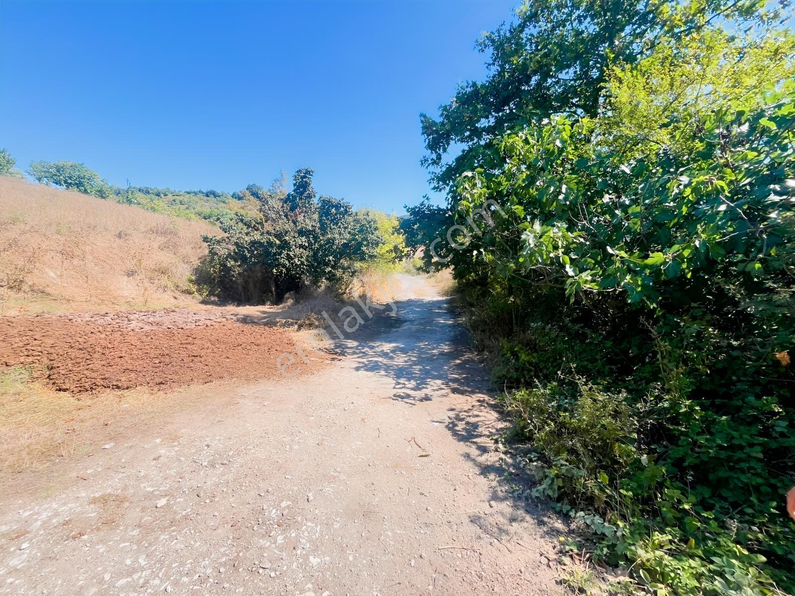 8246 M2 (bursa Yoluna 2. Parsel) Yola Toplam 313 Metre Cepheli — fotoğraf 21