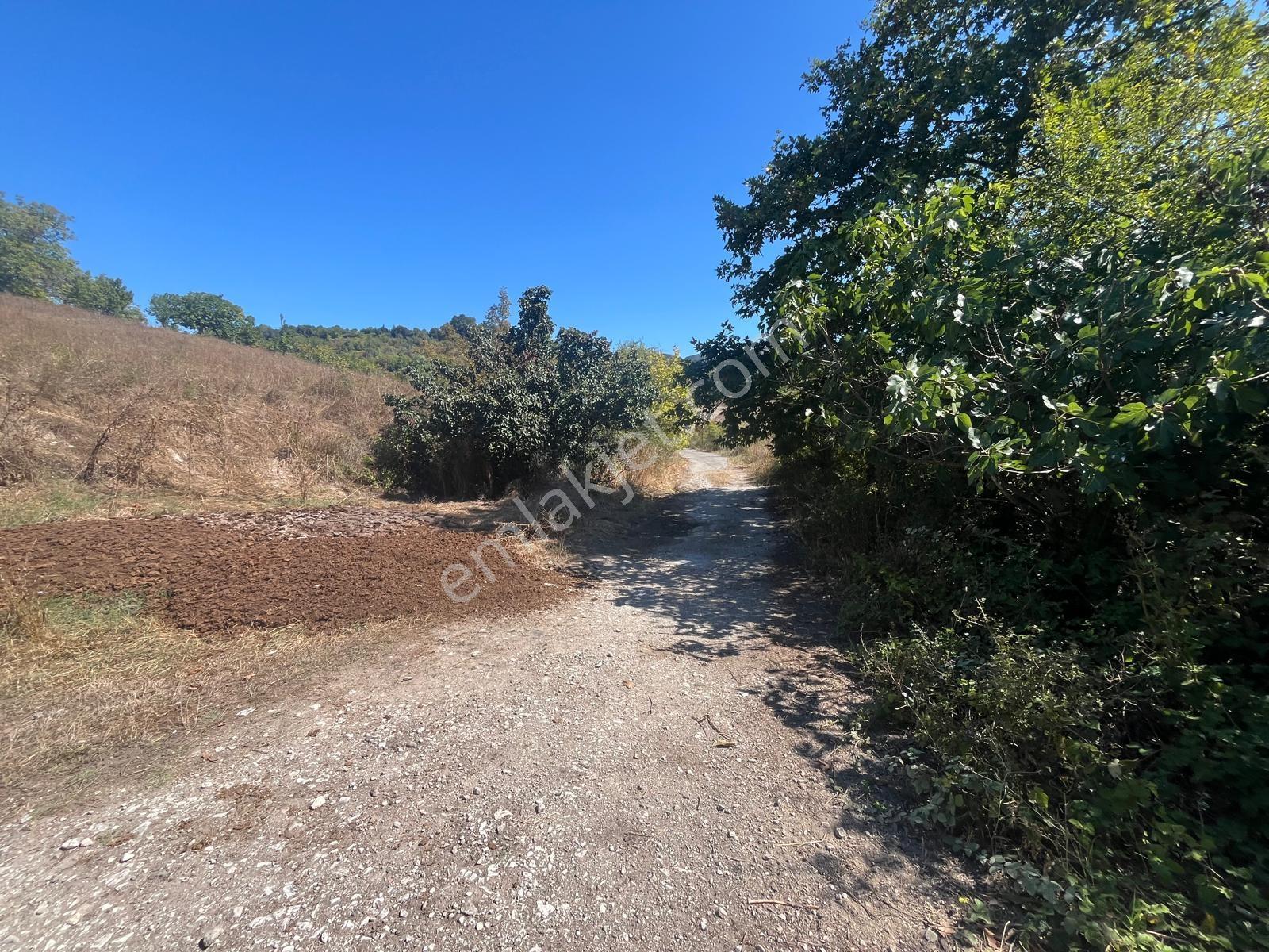 8246 M2 (bursa Yoluna 2. Parsel) Yola Toplam 313 Metre Cepheli — fotoğraf 22