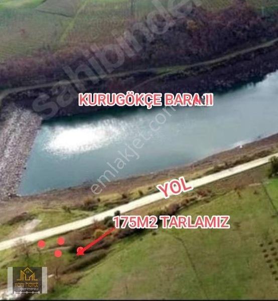 Atakumda Barajin Yaninda Satilik Tarla — fotoğraf 3