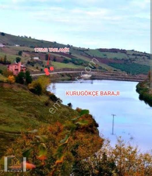 Atakumda Barajin Yaninda Satilik Tarla — fotoğraf 4