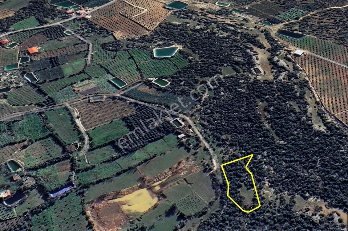 Erdemli Karaahmatli Mah. 2137m² 3 Villa Yapımına Uygun Parsel