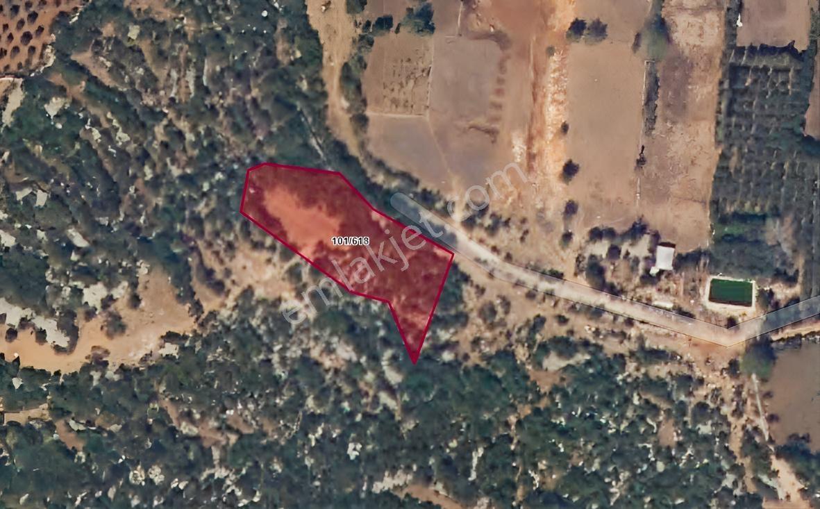 Erdemli Karaahmatli Mah. 2137m² 3 Villa Yapımına Uygun Parsel — fotoğraf 3