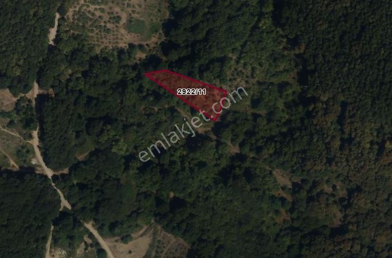 Şile Şuayipli Mah. 1290 M2 Satılık Arsa — fotoğraf 3