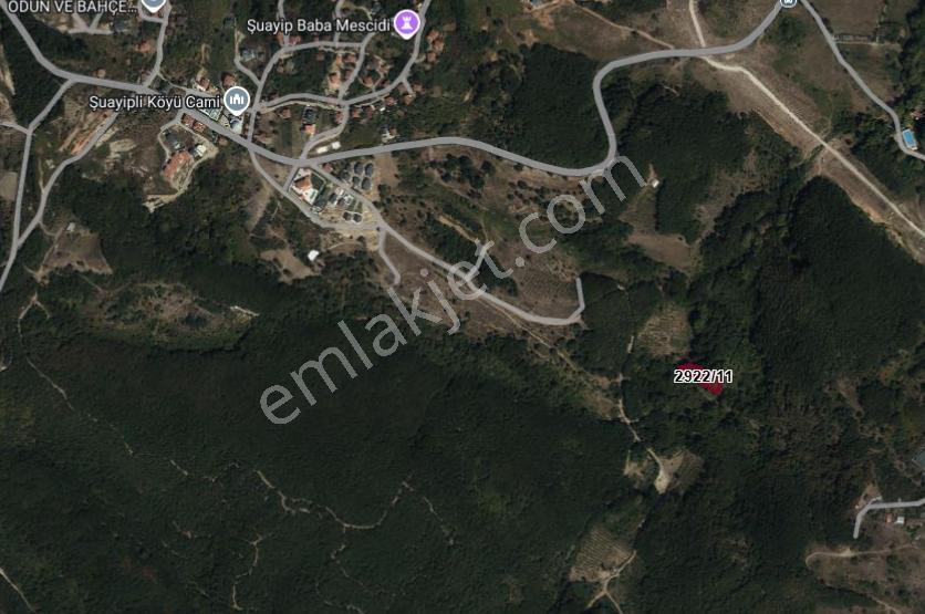 Şile Şuayipli Mah. 1290 M2 Satılık Arsa — fotoğraf 4