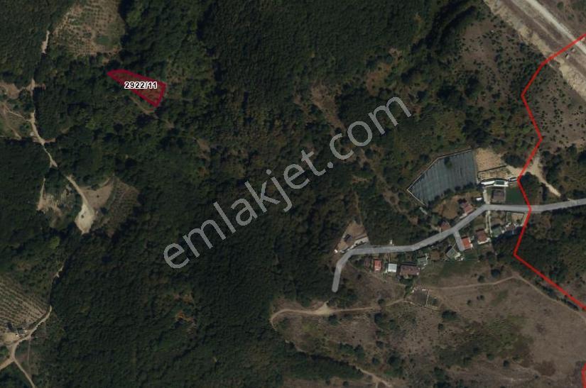 Şile Şuayipli Mah. 1290 M2 Satılık Arsa — fotoğraf 5