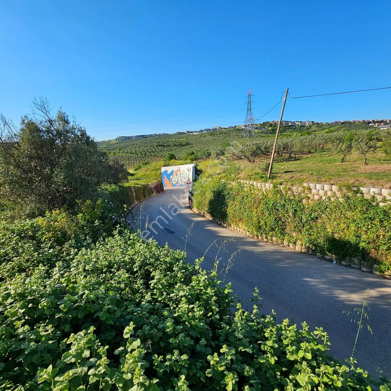 Bademli'de 1.576 M² | 1-2-3 Villa Projesine Uygun Prestijli Arsa — fotoğraf 17
