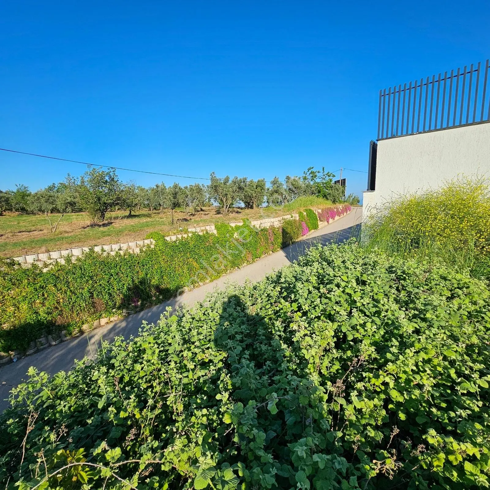 Bademli'de 1.576 M² | 1-2-3 Villa Projesine Uygun Prestijli Arsa — fotoğraf 18