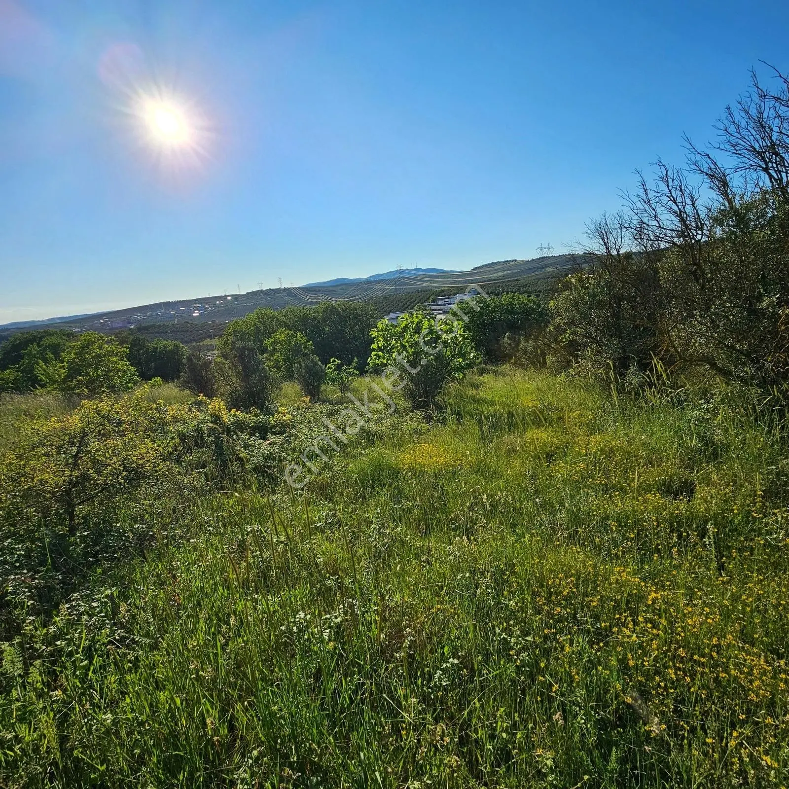 Bademli'de 1.576 M² | 1-2-3 Villa Projesine Uygun Prestijli Arsa — fotoğraf 19