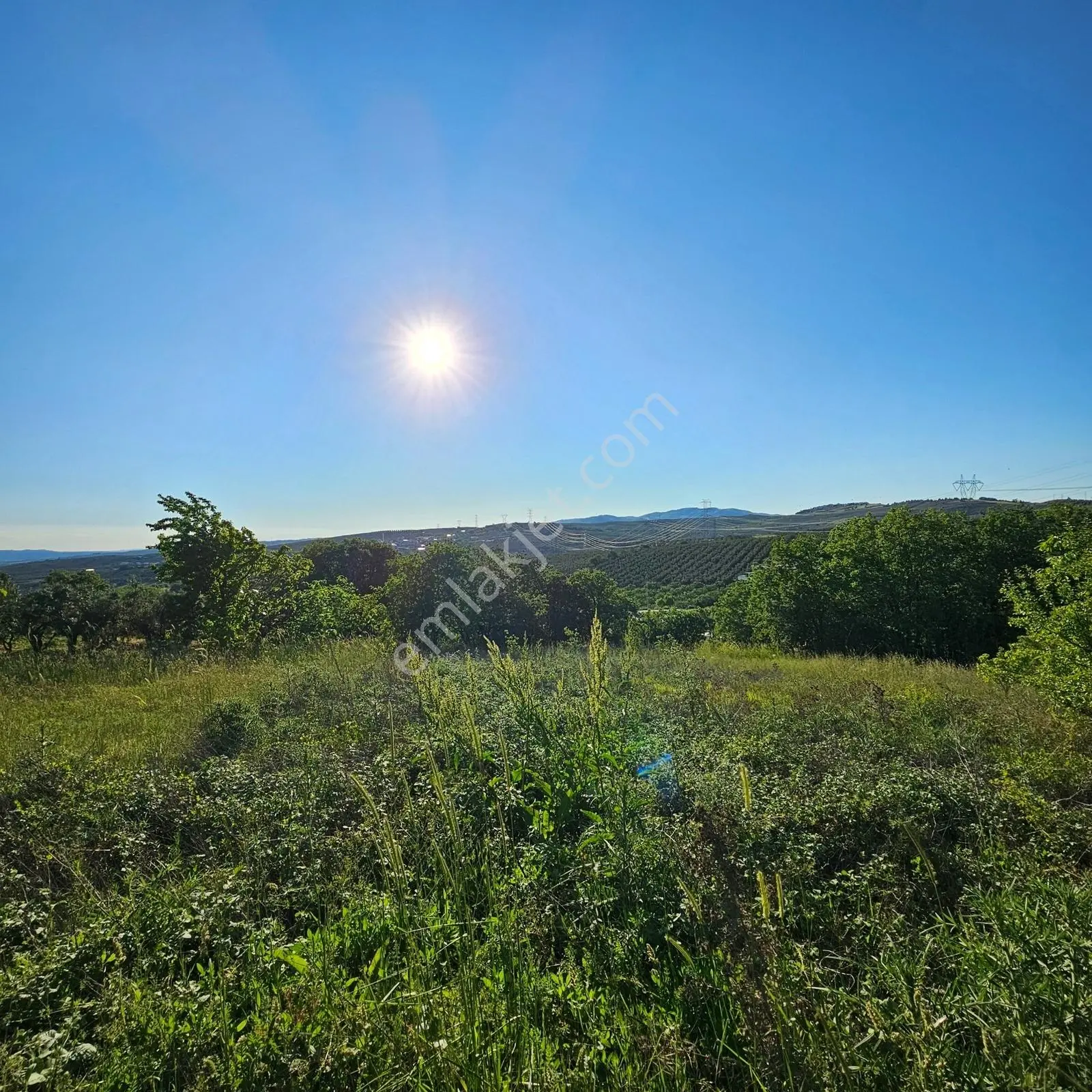 Bademli'de 1.576 M² | 1-2-3 Villa Projesine Uygun Prestijli Arsa — fotoğraf 23