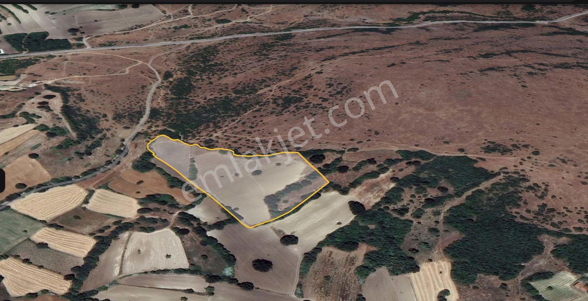 Remax Mid Bigadiç Babaköy Satılık Müstakil Tapulu 16.939 M²tarla — fotoğraf 3
