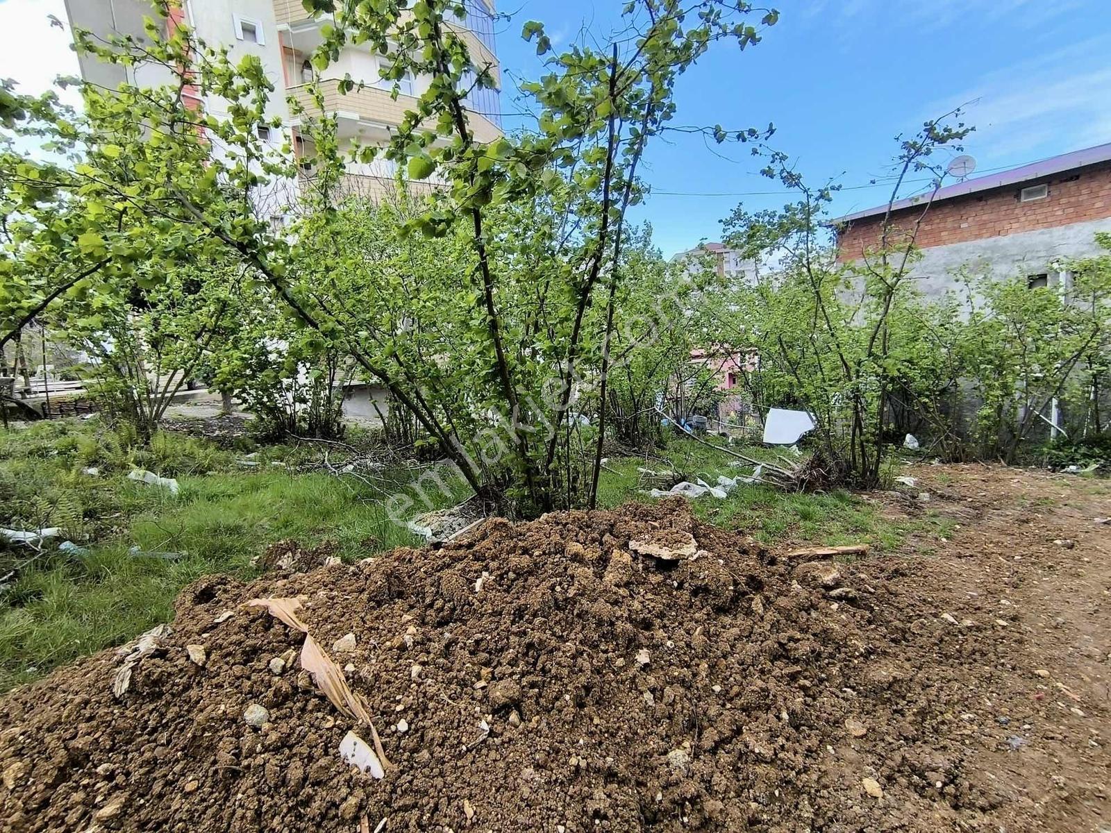 Detay'dan 365 M²de Büyük Oyun Başlıyor! 4 Kat İmarlı Arsa — fotoğraf 7