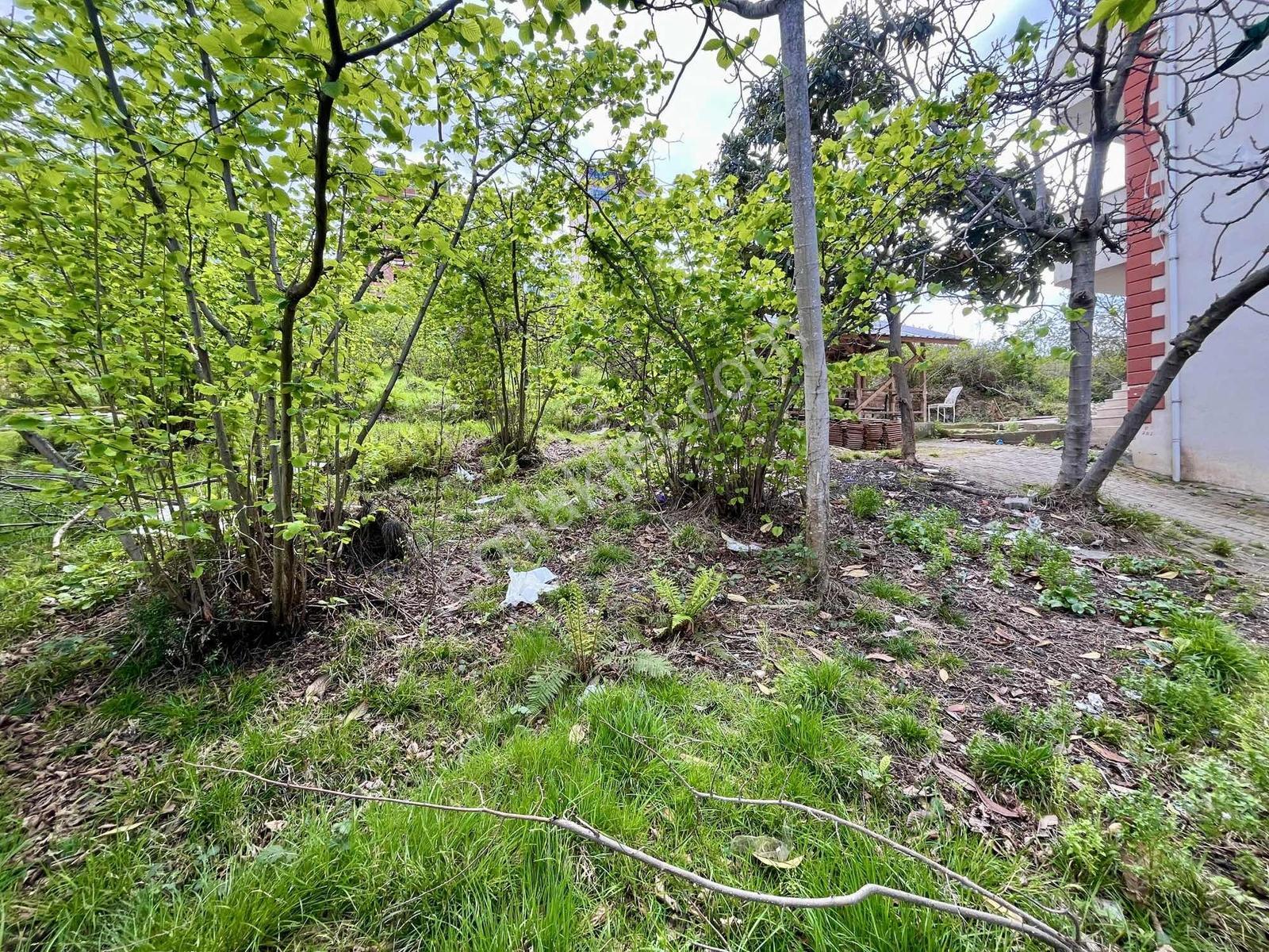 Detay'dan 365 M²de Büyük Oyun Başlıyor! 4 Kat İmarlı Arsa — fotoğraf 17