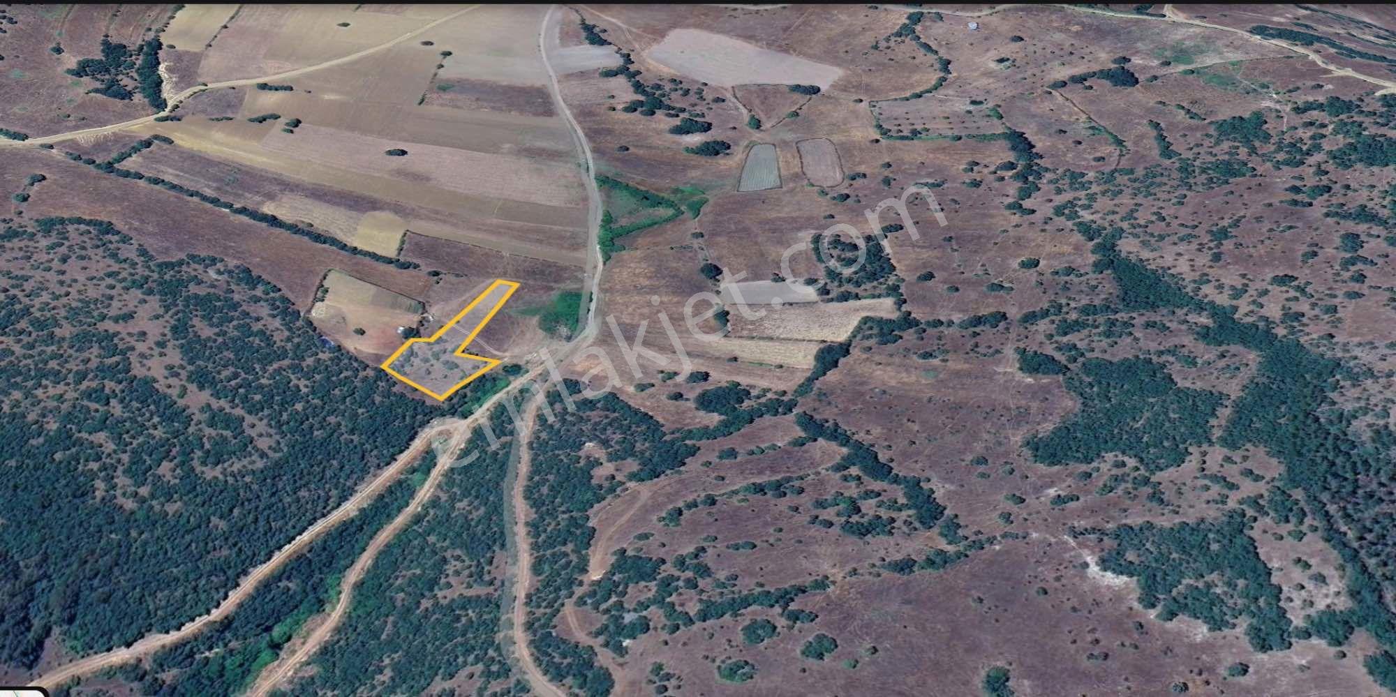 Remax Mid Balıkesir Sındırgı /mumcu Da Satılık Fırsat Tarlalar — fotoğraf 2