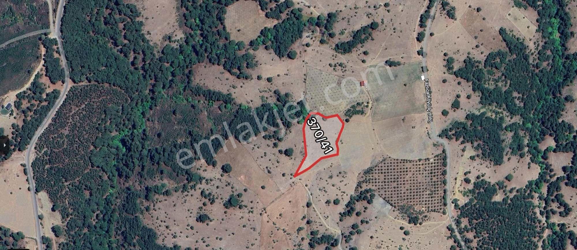 Remax Mid Havran/fazlıca Kaz Dağları Doğasında 8568 M2 Tarla