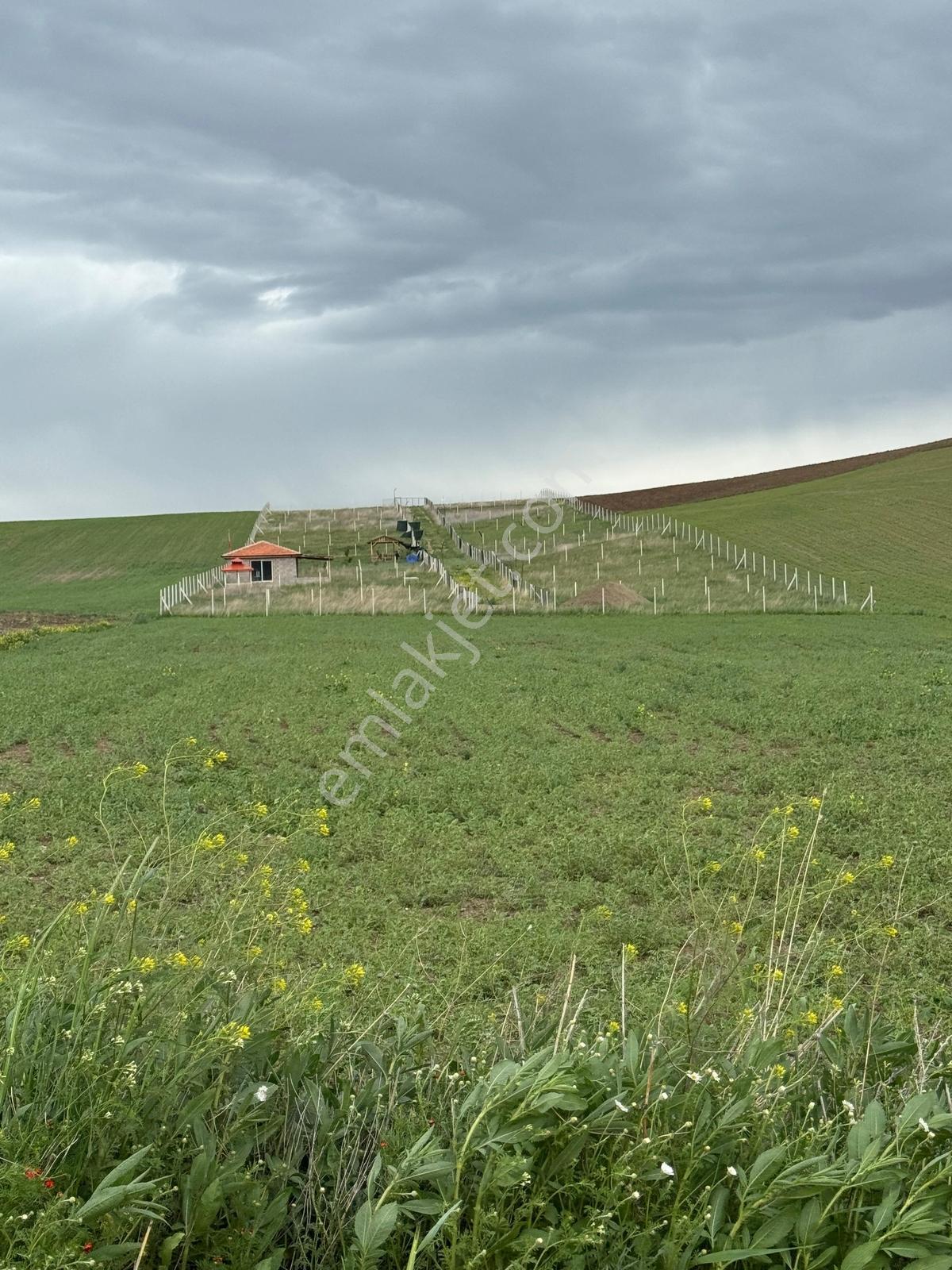 Yazırda Doğayla İçiçe, Suyu Hazır Çevrili Hobi Bahçesi — fotoğraf 3