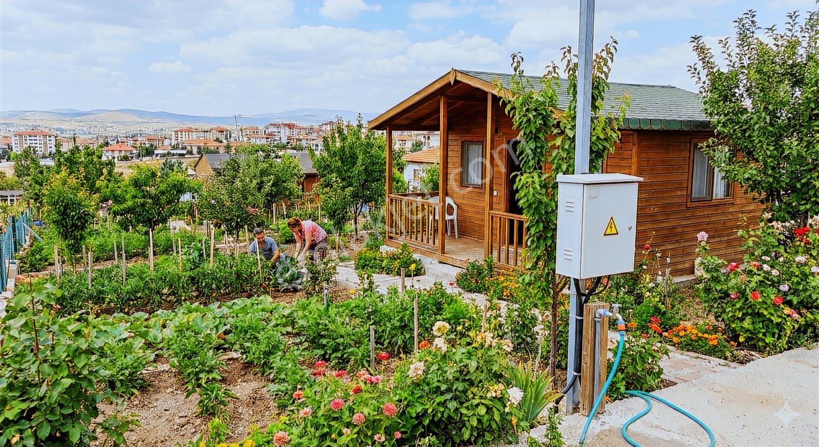 Akyurt Merkeze Yürüme Mesafesi Elektrik-su Yerleşik Hobi Bahçesi — fotoğraf 2