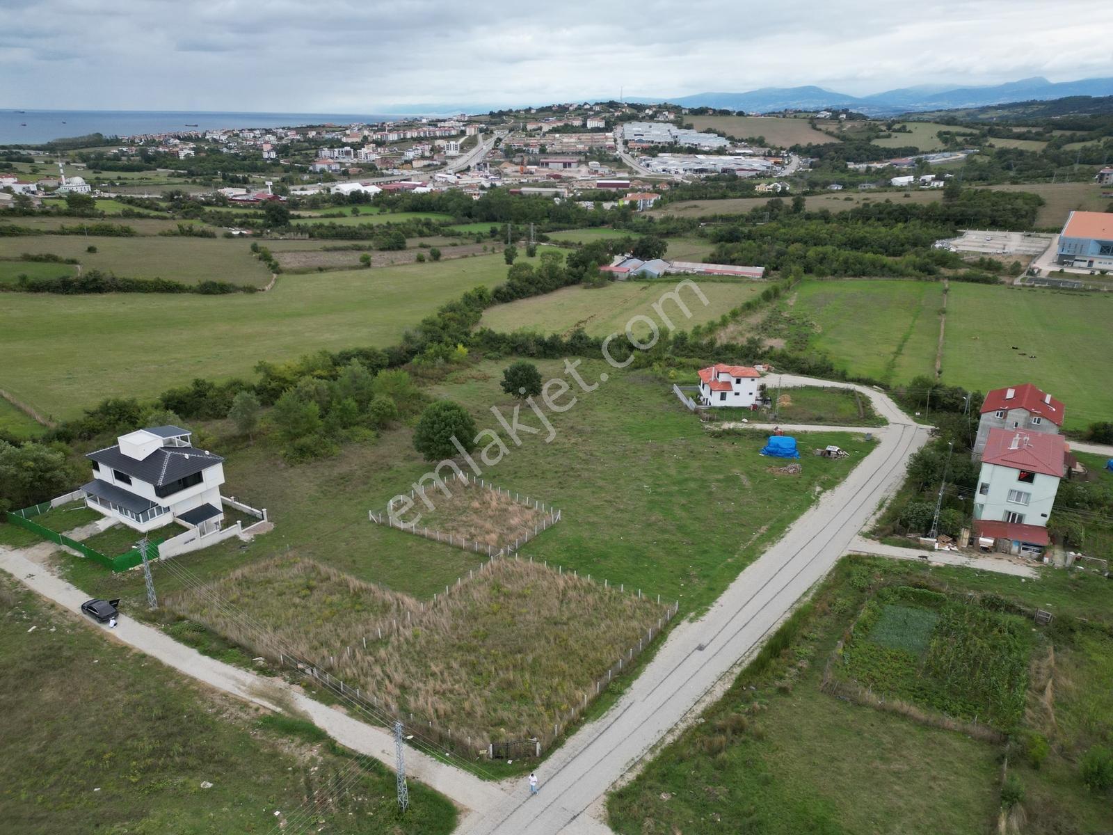 Hisardan Sinop Merkez De Muhteşem Lokasyonda Villa İmarlı Arsa — fotoğraf 8