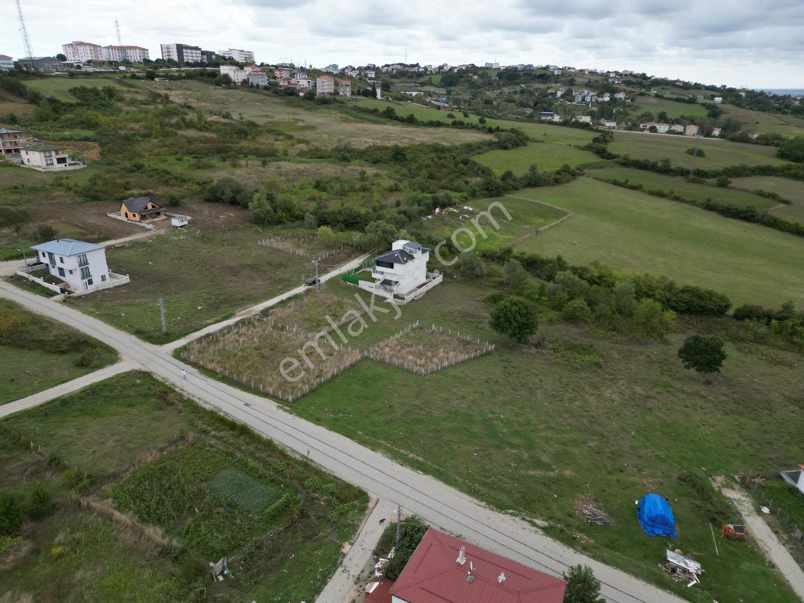 Hisardan Sinop Merkez De Muhteşem Lokasyonda Villa İmarlı Arsa — fotoğraf 13