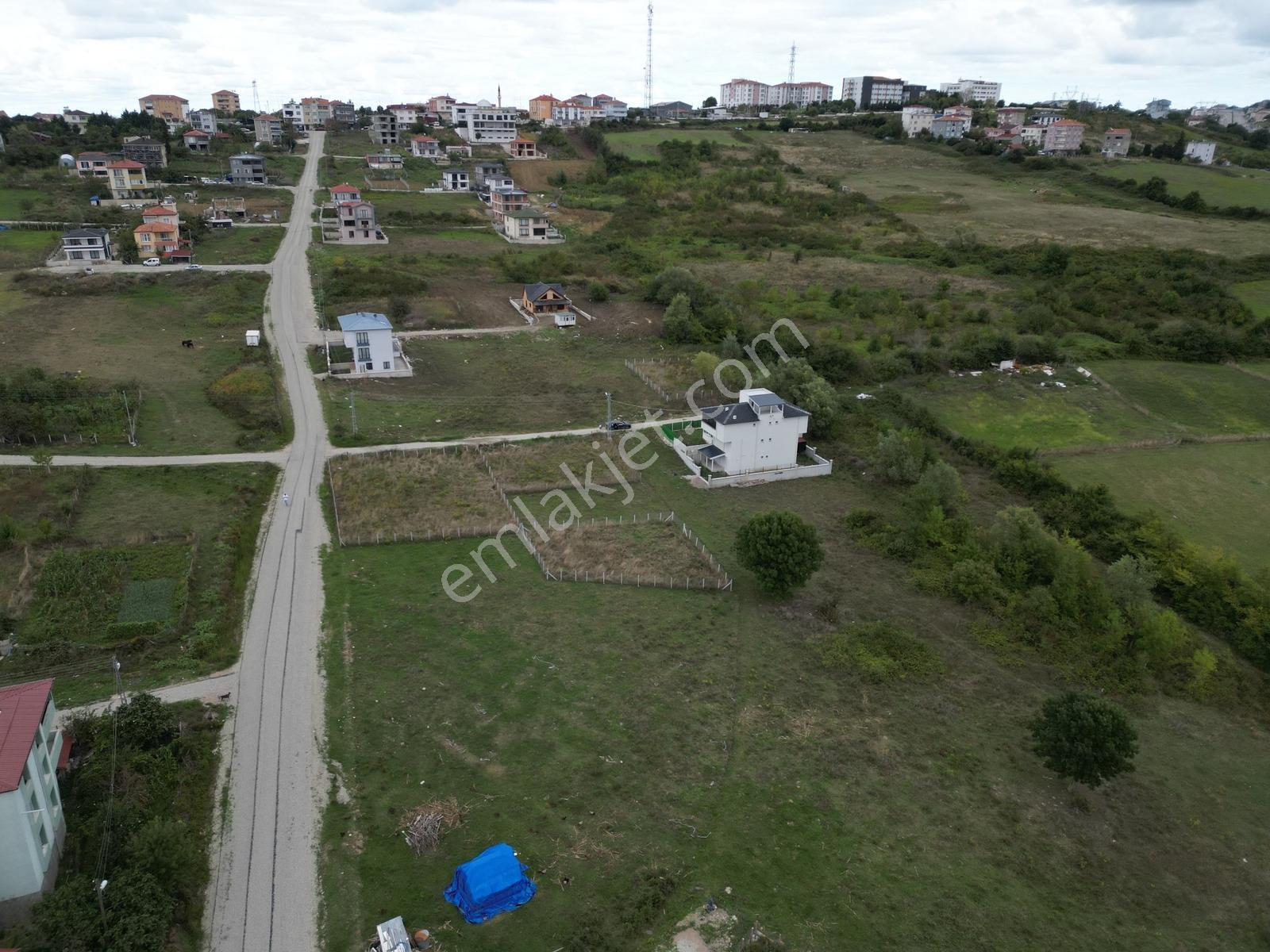 Hisardan Sinop Merkez De Muhteşem Lokasyonda Villa İmarlı Arsa — fotoğraf 16