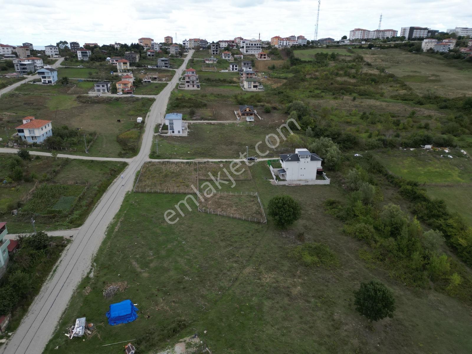 Hisardan Sinop Merkez De Muhteşem Lokasyonda Villa İmarlı Arsa — fotoğraf 17