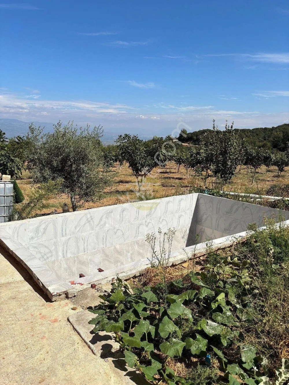 Hb'den Satılık İncir Bahçesi, Müstakil Parsel 9244 M², Etrafı Komple Çevrili — fotoğraf 25