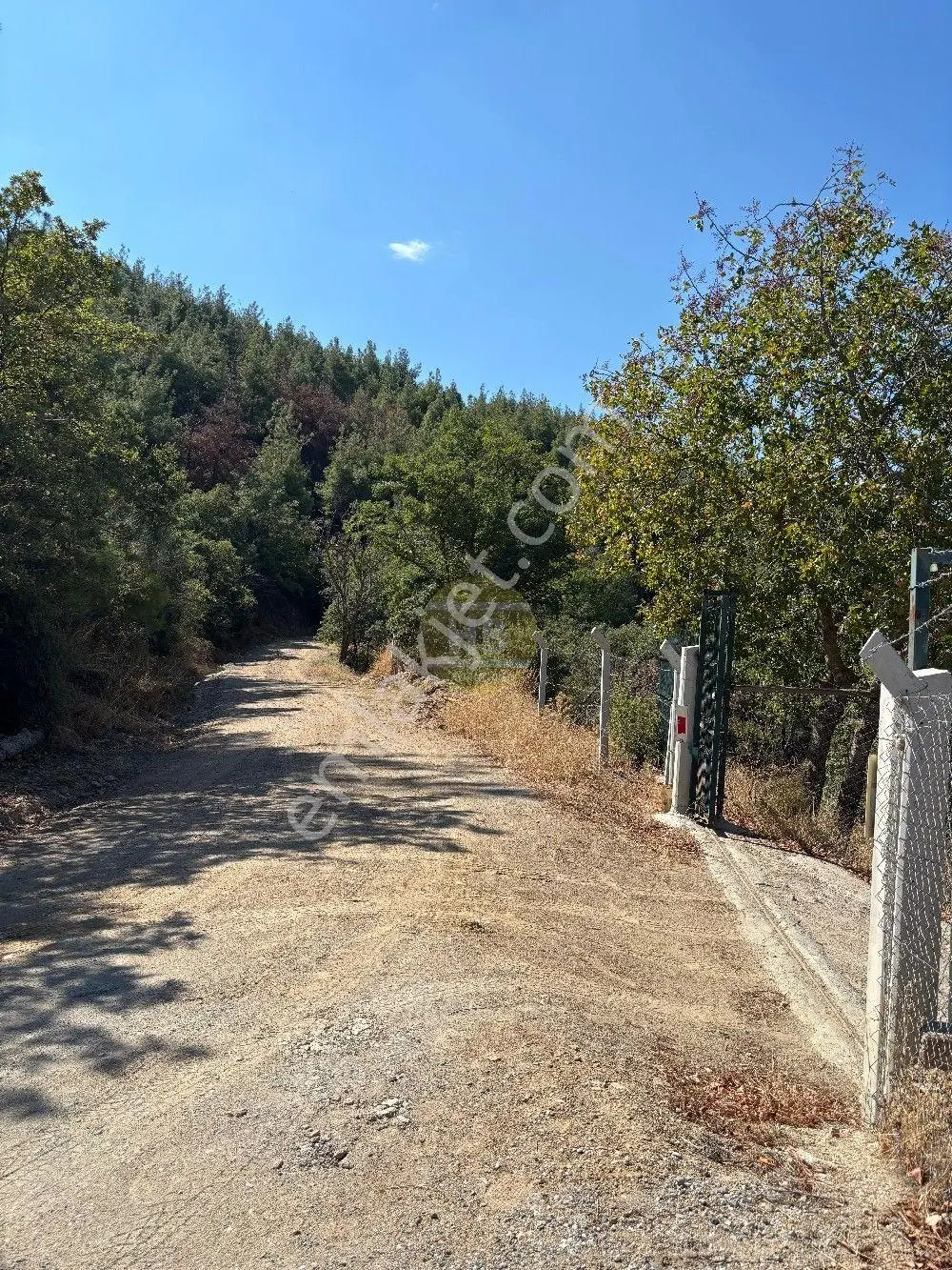Hb'den Satılık İncir Bahçesi, Müstakil Parsel 9244 M², Etrafı Komple Çevrili — fotoğraf 38