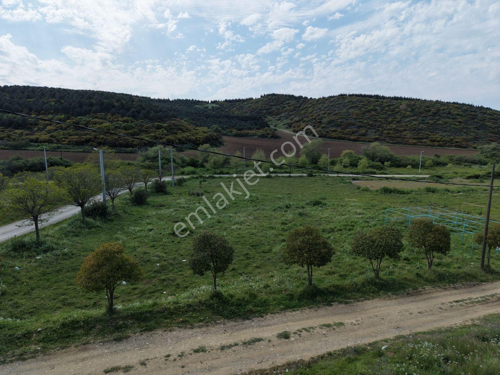 Saroz Körfezinde Satılık İmarlı Köşe Parsel — fotoğraf 9