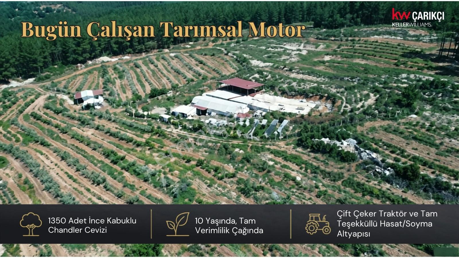 Ekoturizm Ve Sağlık Turizmine Uygun Yatırımlık Arsa — fotoğraf 5